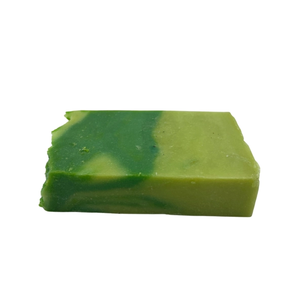Aloe Vera - Sabonete de Azeite em caixa individual - 100g