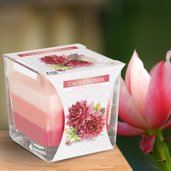 Vela Jarra Arco-Íris - Flor de Cacto